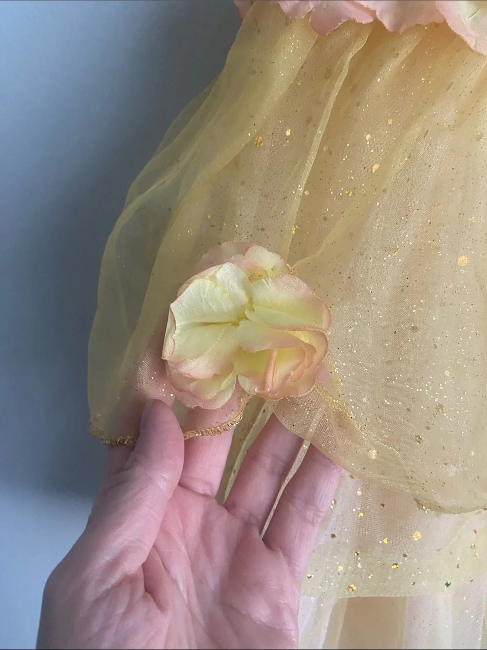 Disney Store Princess Belle dress size 4 little girl With roses Pink and yellow